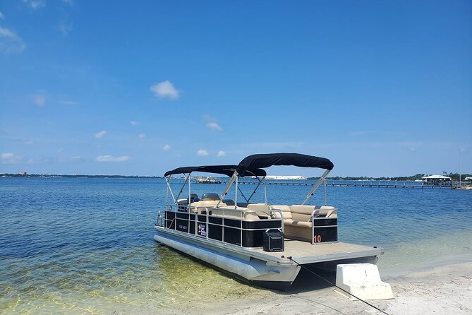 Dolphin & Manatee Tour in Panama City Beach, FL with Rockon Recreation Rentals