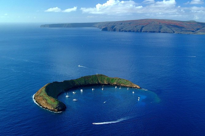 Snorkeling in Wailuku, HAWAII with Rockon Recreation Rentals