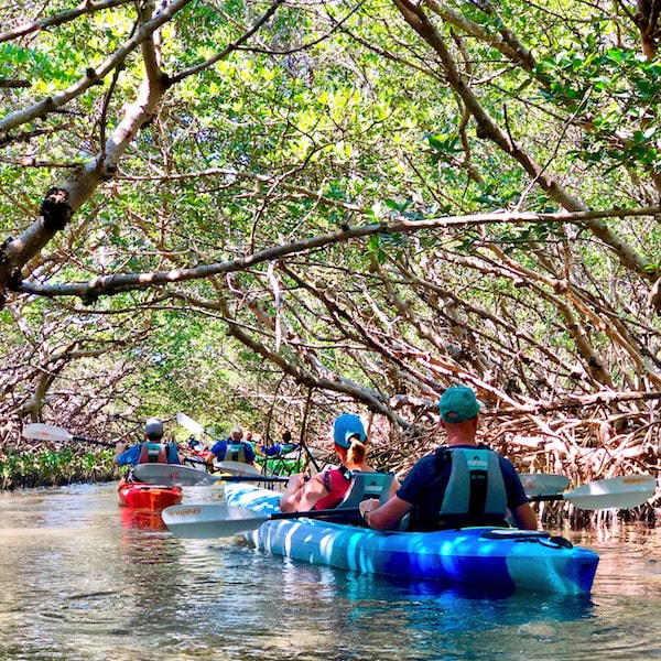 Kayak Rental in St Petersburg Fl, FL with Rockon Recreation Rentals