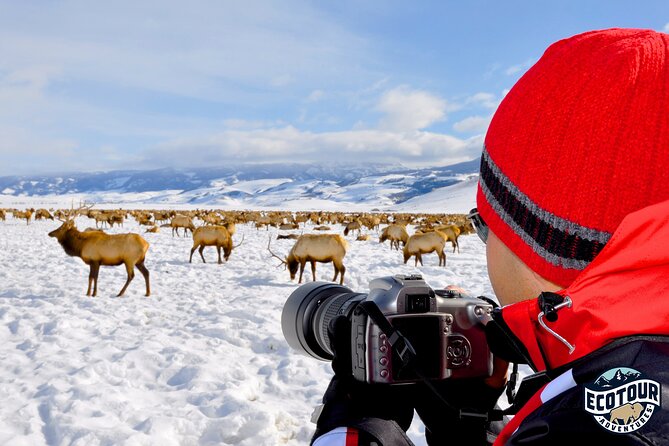 Tour at Jackson, WY, WYOMING