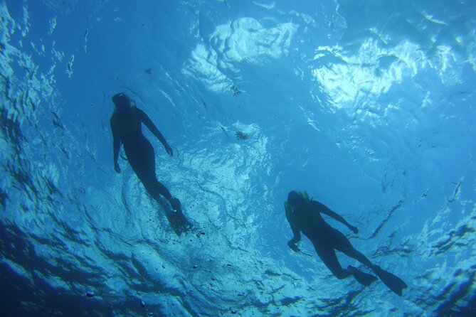 Snorkeling in Key Largo, FL with Rockon Recreation Rentals