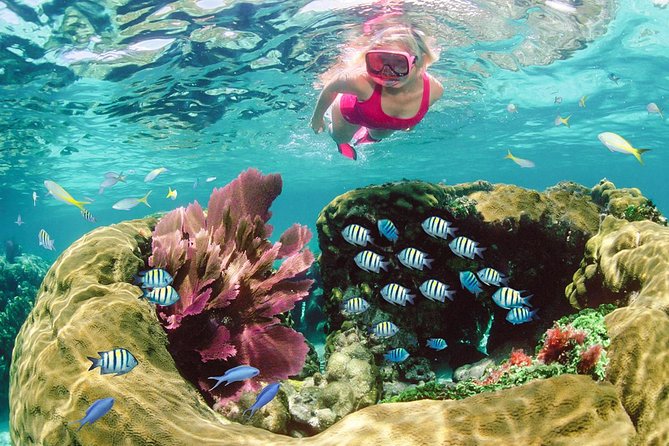 Snorkeling in Key Largo, FL with Rockon Recreation Rentals