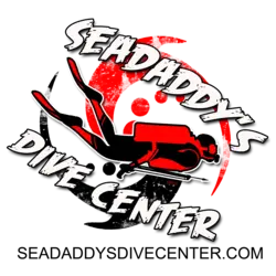 Dolphin & Manatee Tour in Crystal River Fl, FL with Rockon Recreation Rentals