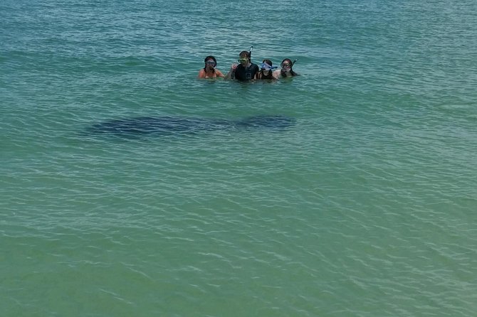 Dolphin & Manatee Tour in Tierra Verde, FL with Rockon Recreation Rentals