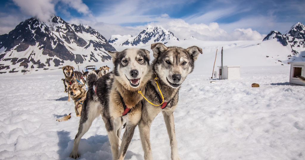 Tour in Alaska, USA with Rockon Recreation Rentals