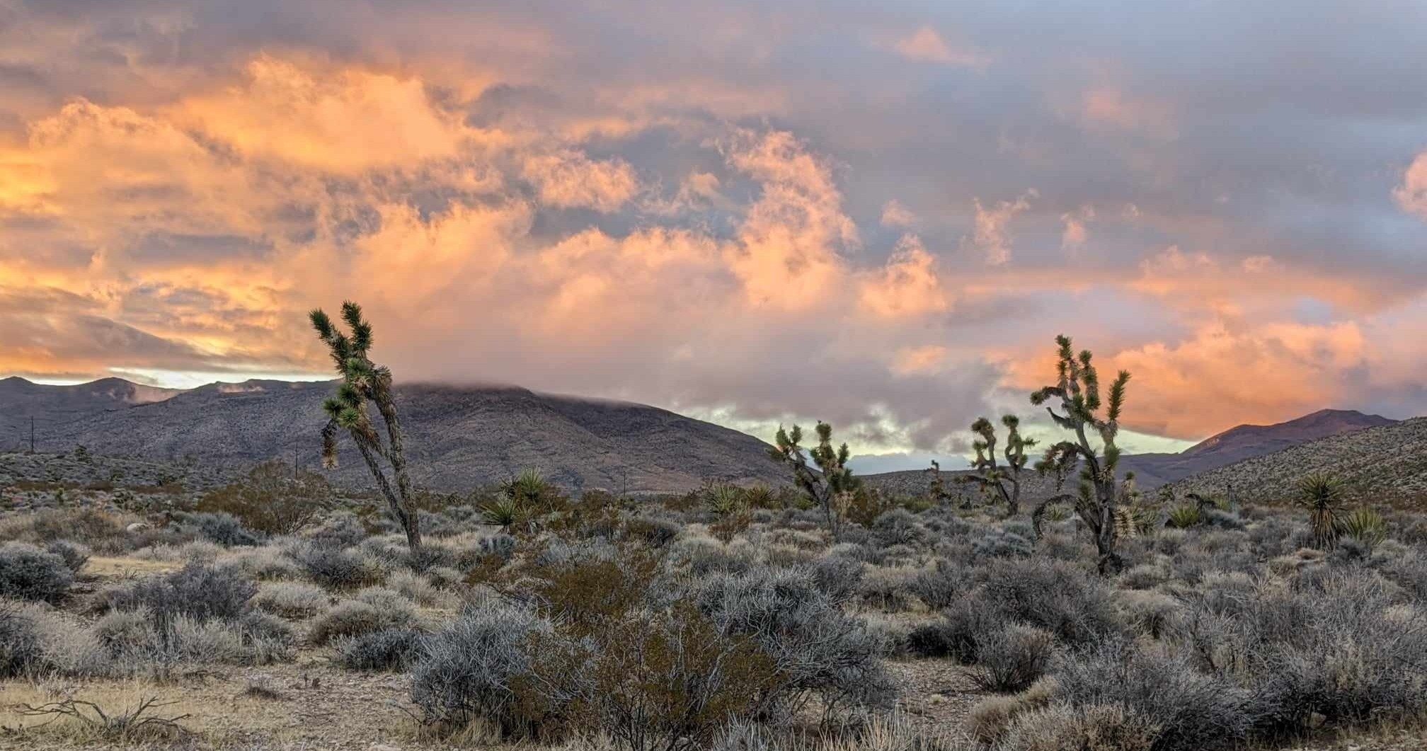 ATV Rental in Las Vegas, NEVADA with Rockon Recreation Rentals