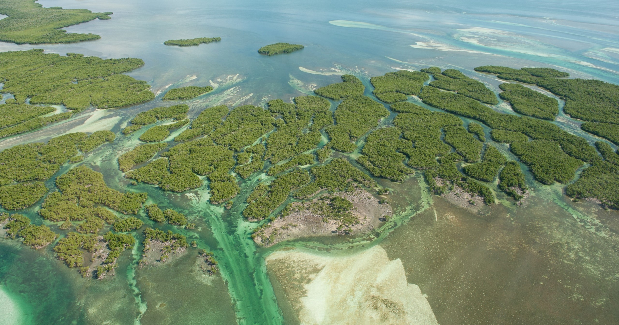 Kayak Rental in Key West, FLORIDA with Rockon Recreation Rentals