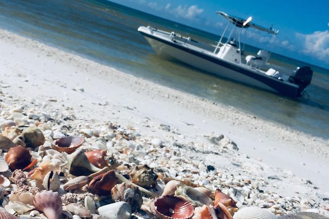 Tour in Fort Myers Beachfl, FL with Rockon Recreation Rentals