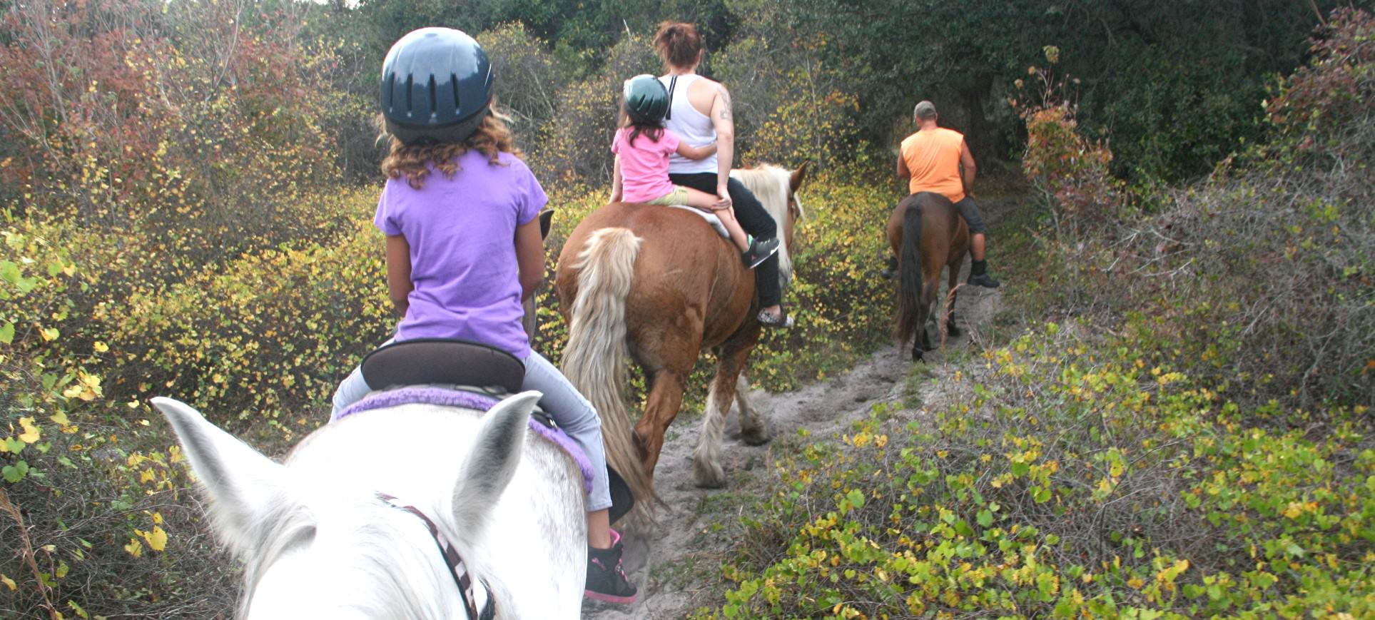 Horseback Riding Rental in Miami, FL with Rockon Recreation Rentals
