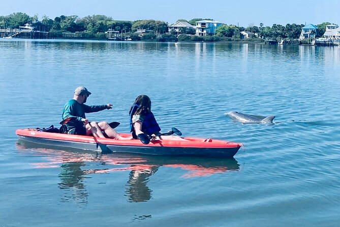 Dolphin & Manatee Tour in St. Augustine, FL with Rockon Recreation Rentals