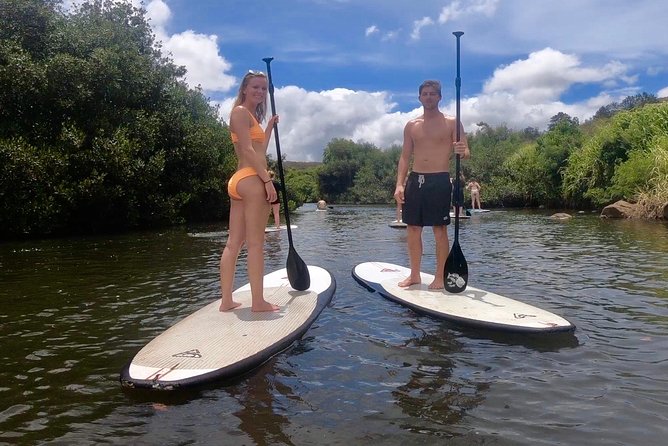 Tour in Honolulu, HAWAII with Rockon Recreation Rentals
