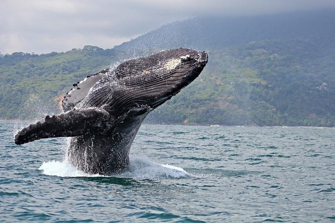 Tour in Lahaina, HAWAII with Rockon Recreation Rentals