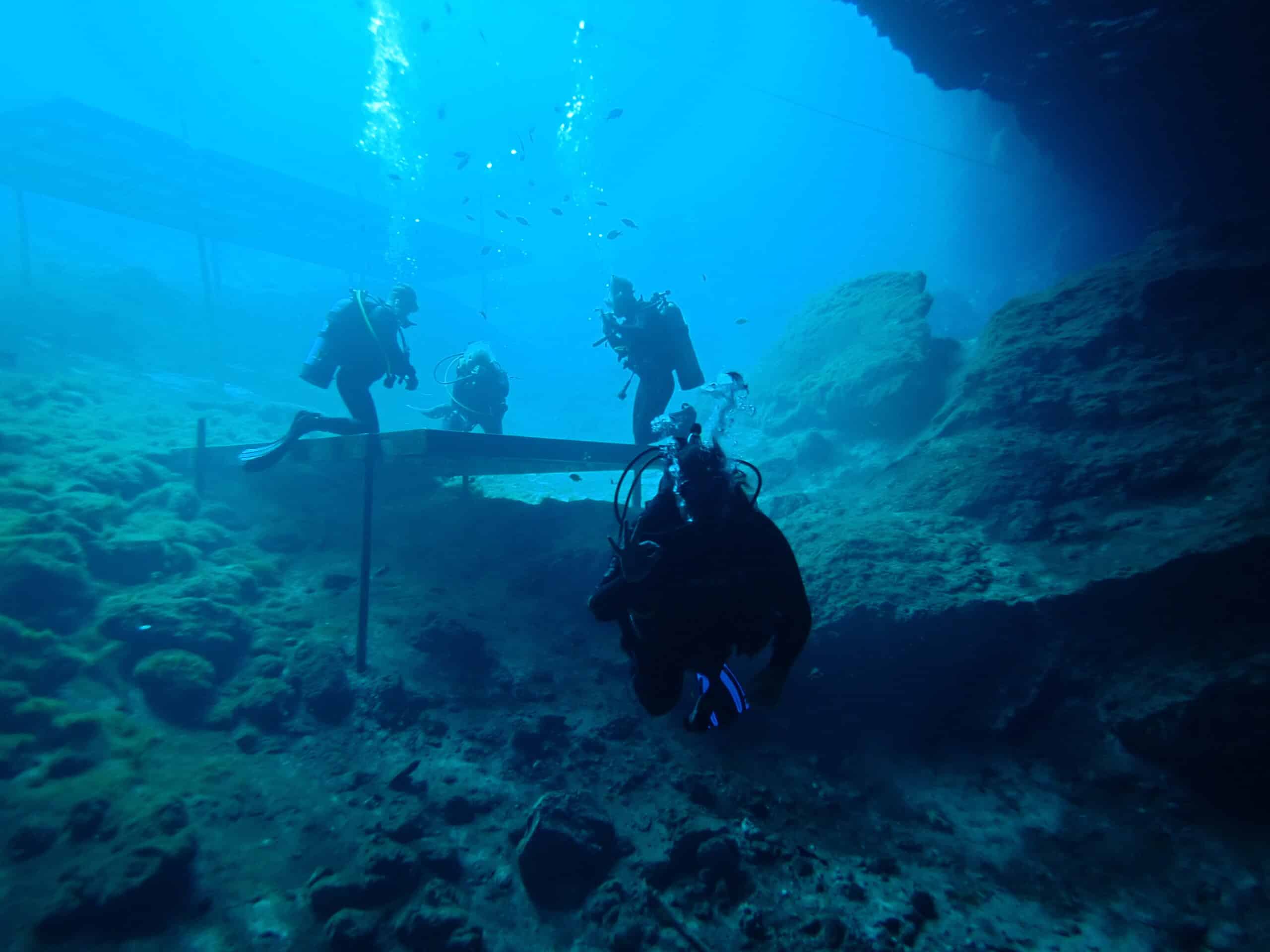 Dive Tour in Crystal River Fl, FL with Rockon Recreation Rentals