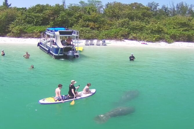 Dolphin & Manatee Tour in Sarasota, FL with Rockon Recreation Rentals