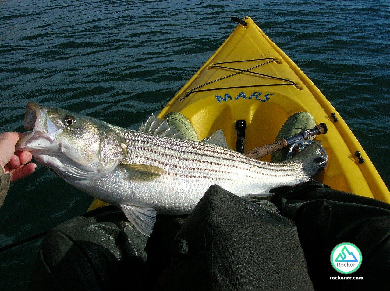 Kayak Rental in Key Largo, FL with Rockon Recreation Rentals