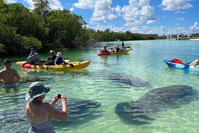 Kayak Rental in Bonita Springsfl, FL with Rockon Recreation Rentals