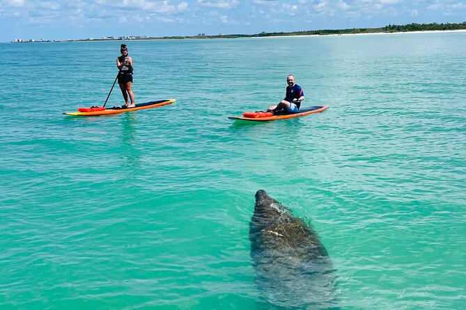 Dolphin & Manatee Tour in Fort Myers Beachfl, FL with Rockon Recreation Rentals