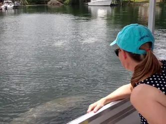 Pontoon Boat Rental in Crystal River Fl, FL with Rockon Recreation Rentals