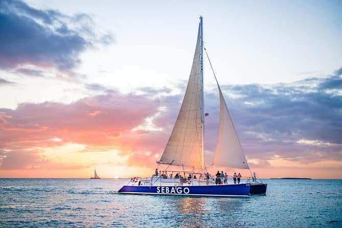 Dolphin & Manatee Tour in Key West, FL with Rockon Recreation Rentals